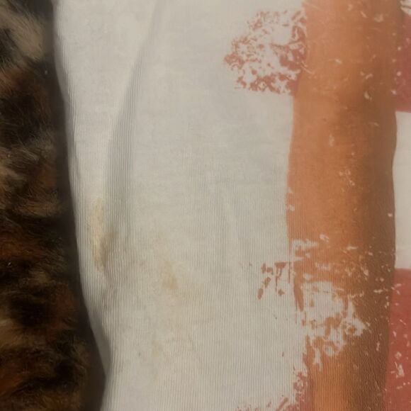 Bruce Springsteen White V-Neck Born In The USA Graphic Semi Sheer Shirt - Picture 8 of 11